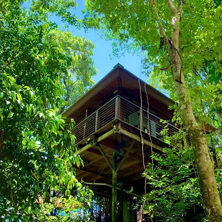 Cairns Rainforest Retreat Hotel Exterior photo